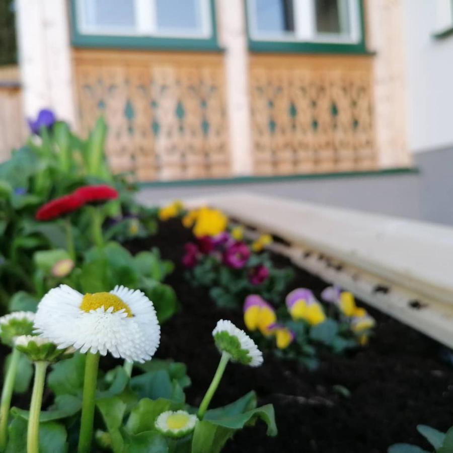 Ferienwohnungen Kalss Nahe Altaussee Bad Aussee Extérieur photo